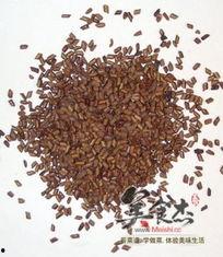 决明子视频,绿色健康生活的天然良药